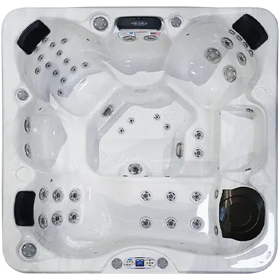Avalon EC-849L hot tubs for sale in Colorado Springs