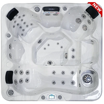 Avalon-X EC-849LX hot tubs for sale in Colorado Springs